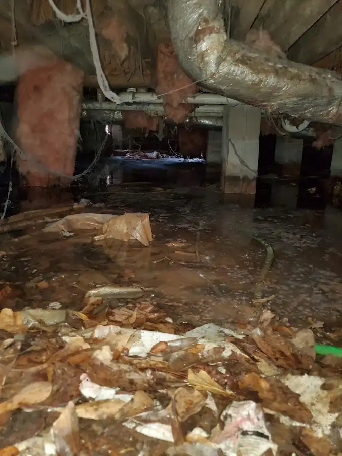 Crawl space flood assessment for Commercial Water Damage Restoration in Mineola