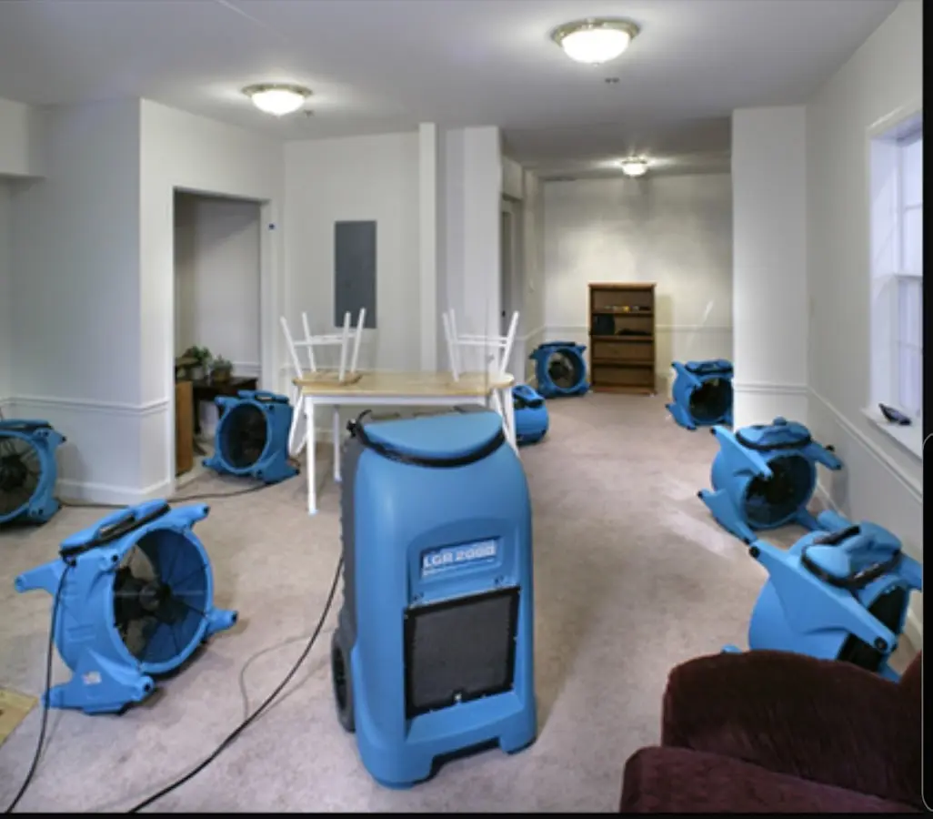 Air movers and dehumidifier setup for Water Extraction & Removal in Mineola